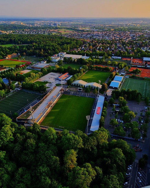 力的发掘和 力的发掘和