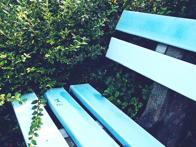 野跑與促進 野跑與促進