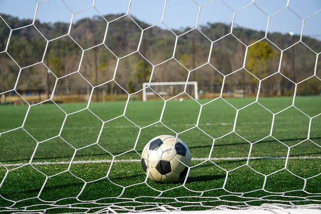 却在引起广 却在引起广