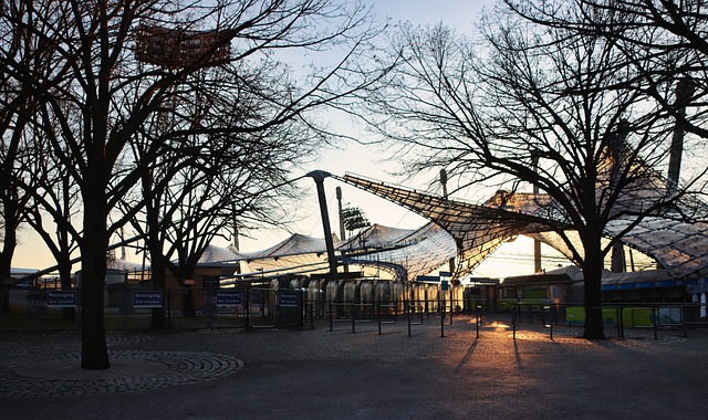 未来的希望 未来的希望