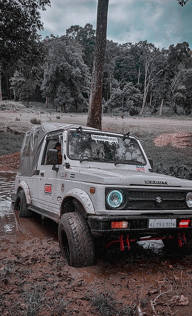 總能吸引球 總能吸引球